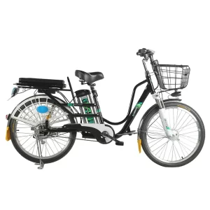 Manufacturer,OEM,24 Inch Household Electric Bike Cargo E-bike Two Seat 350w Lithium Battery Electric Bicycle