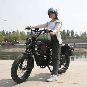 Motorcycle Style Electric Bicycle 1500W 48V 18AH Hydraulic disc brake Electric Bike 20*4.0Inch Fat Tire Mountain Off-Road E-bike