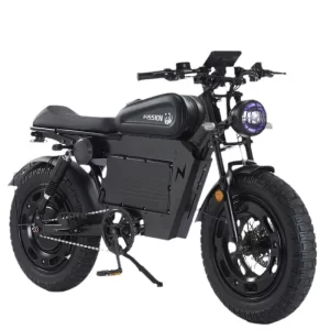 Black Warrior All Terrain Ebike 1500W48V50AH 20*5.0 Inch Fat Tire Mountain Snow Electric Bike Off-road Electric Motorcycle Style