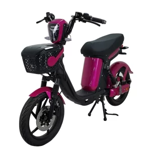 Electric Vehicle Brand New and High Quality 1200W 45km/h Electric Motorcycle Electric Bicycle