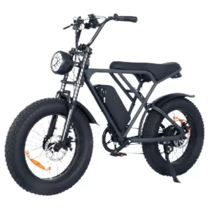 20 Inch Long Range Aluminum Alloy Frame 500W 15Ah Electric Fatbike for Sales