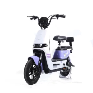 Electric Two-wheeler Wholesale 48V 350W500W1000W Electric Bicycle Factory Direct Sale Ebike