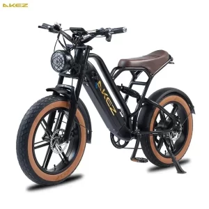 AKEZ Mountain Electric Bike750W Powerful motor 48V18AH Removable battery 20*4.0 inch Fat Tire Adult E-Bike Off-Road E-Bike