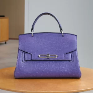 2025 Fashion autumn and winter new elegant ladies handbag luxury commuter niche design shoulder slung handbag high-end temperame